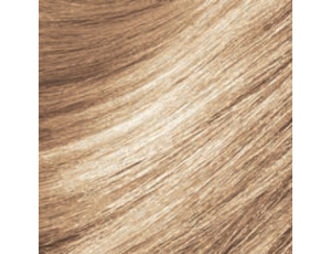 MONTIBELLO DENUEE naturalna farba do włosów bez amoniaku 60 ml | 10.32 - image 2